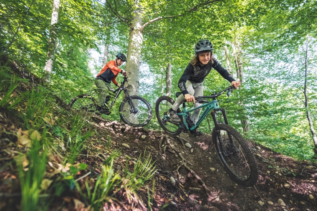 Take it easyThe lightweight aluminium frame and balanced geometry give the young shredders confidence and stability. The slack head angle and the low bottom bracket ensure safe handling even in rough terrain.