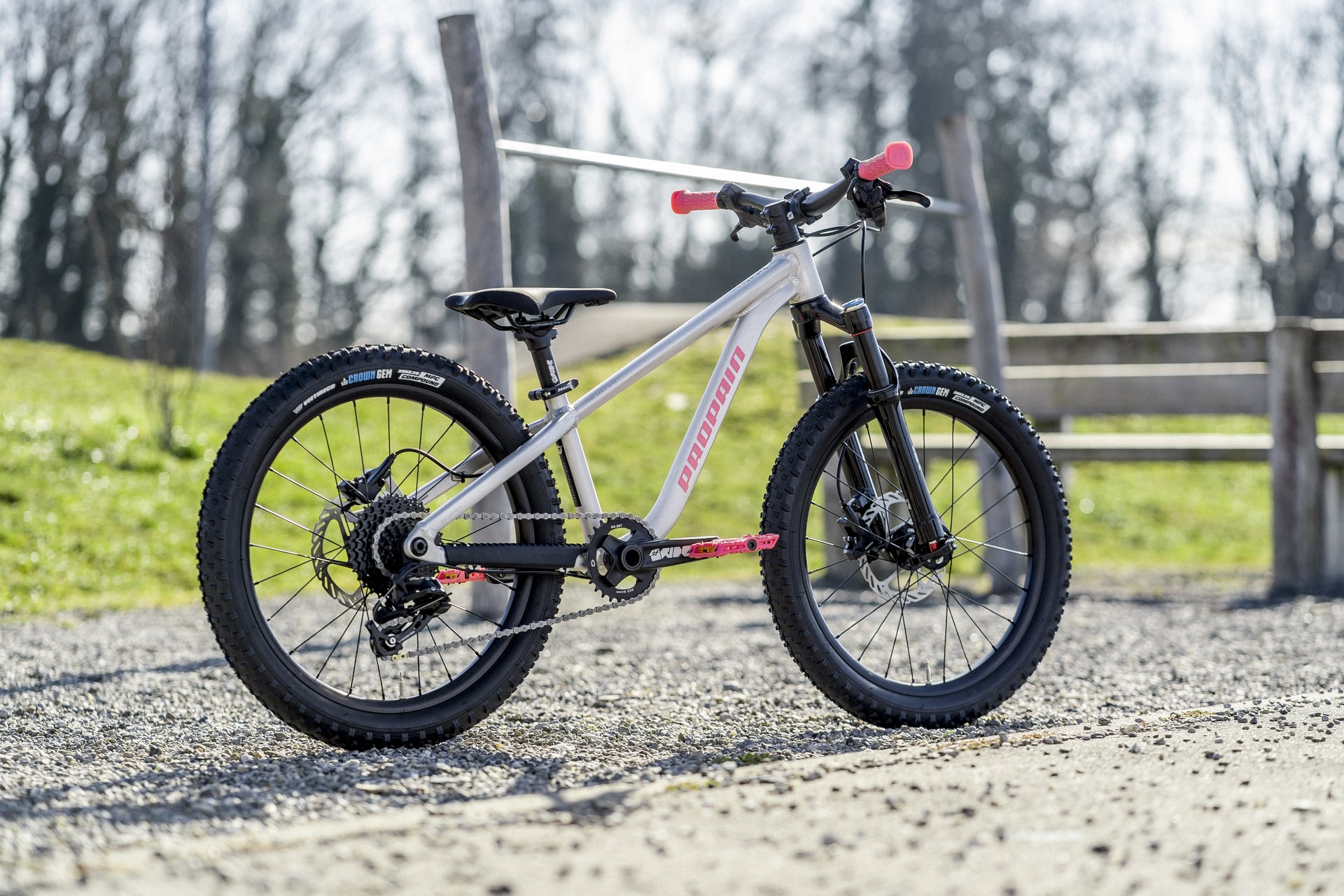 Propain hardtail shop
