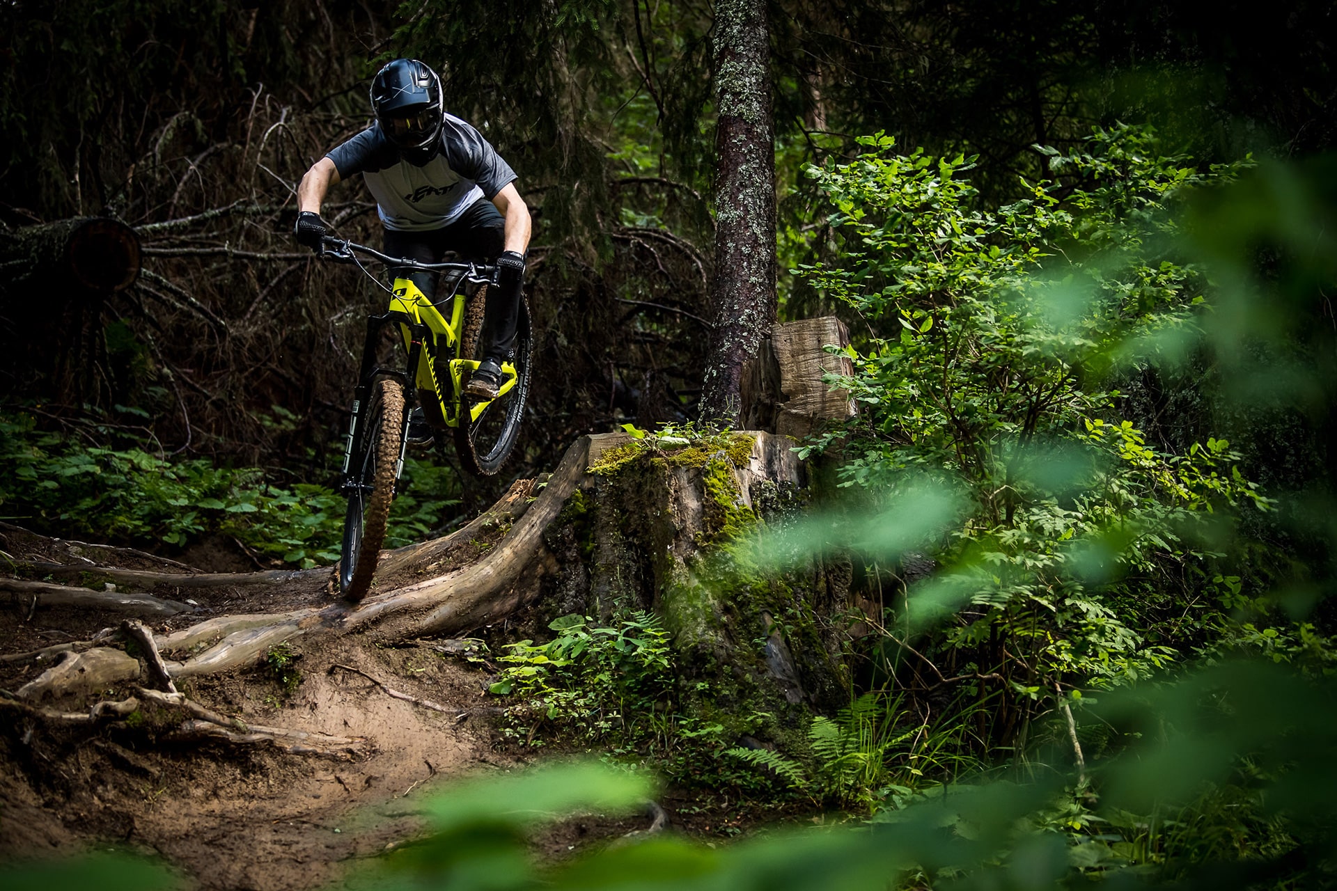 Spindrift CF 180mm Carbon Freeride Mountain Bike 29