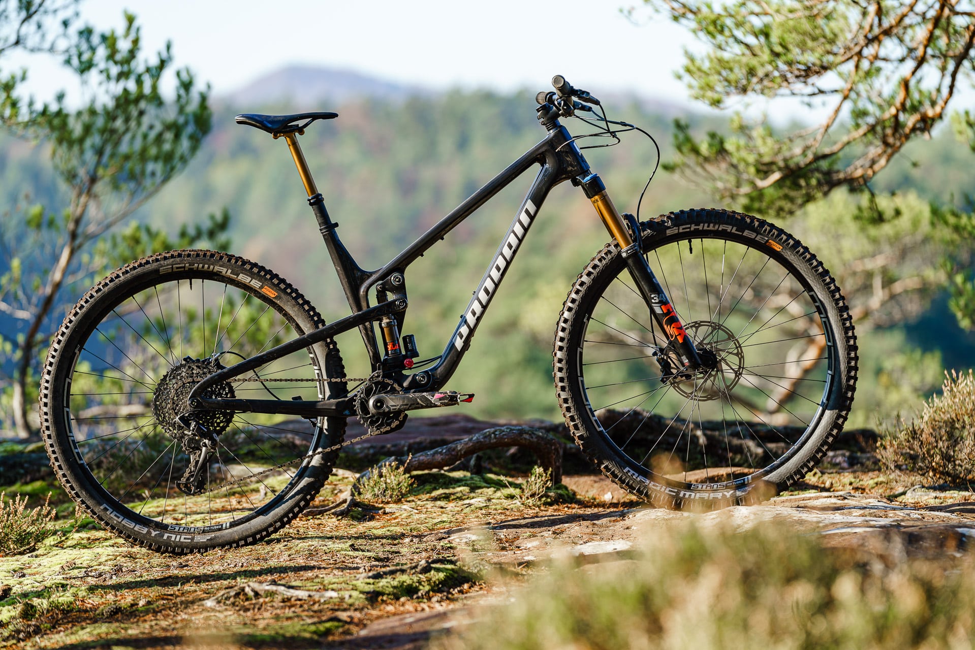 propain bikes for sale